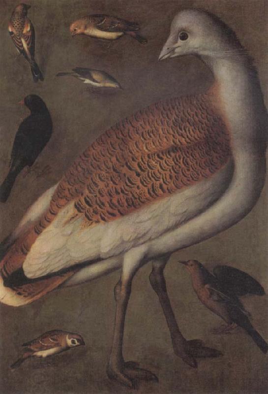 Ludger tom Ring Great Bustard Cock China oil painting art